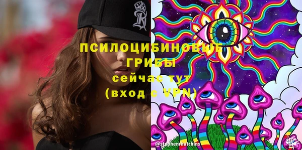 ECSTASY Абаза