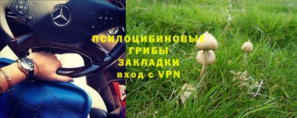 МДПВ Абинск