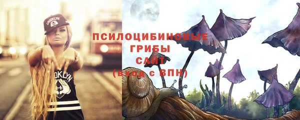 скорость Алексин